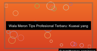wala meron tips profesional terbaru