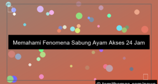 sabung ayam akses 24 jam