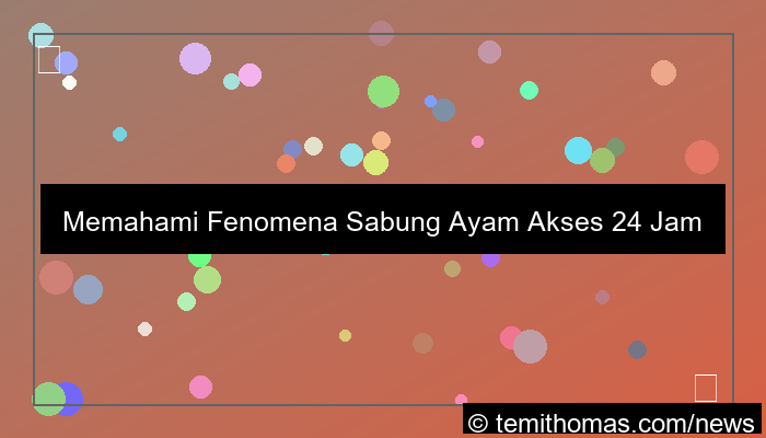 sabung ayam akses 24 jam