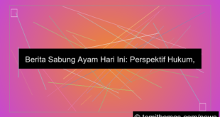 sabung ayam berita hari ini