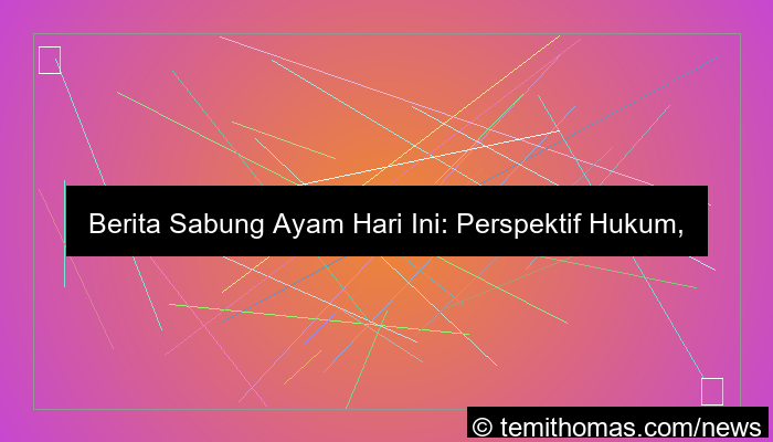 sabung ayam berita hari ini