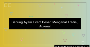 visual sabung ayam event besar