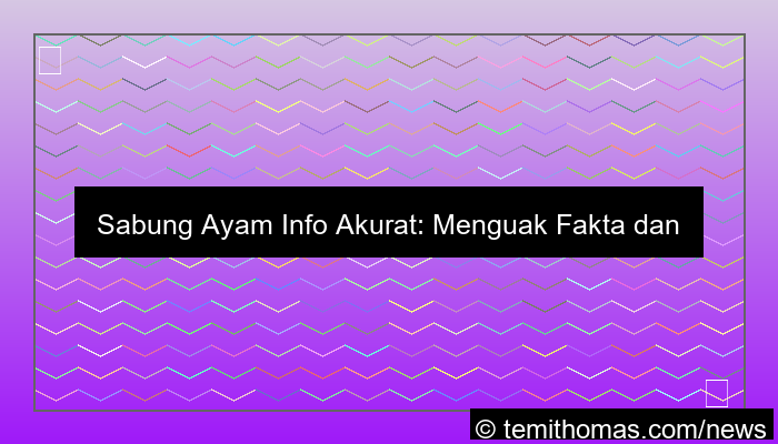 sabung ayam info akurat