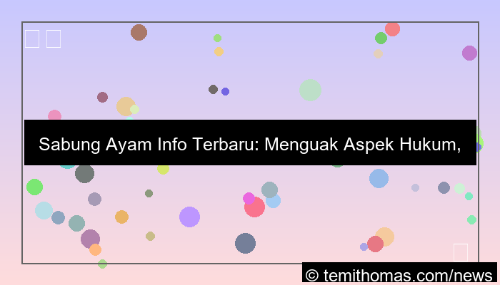 desain sabung ayam info terbaru