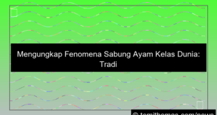 grafik sabung ayam kelas dunia