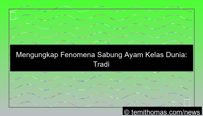 grafik sabung ayam kelas dunia