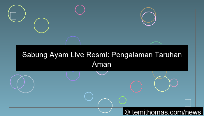 sabung ayam live resmi
