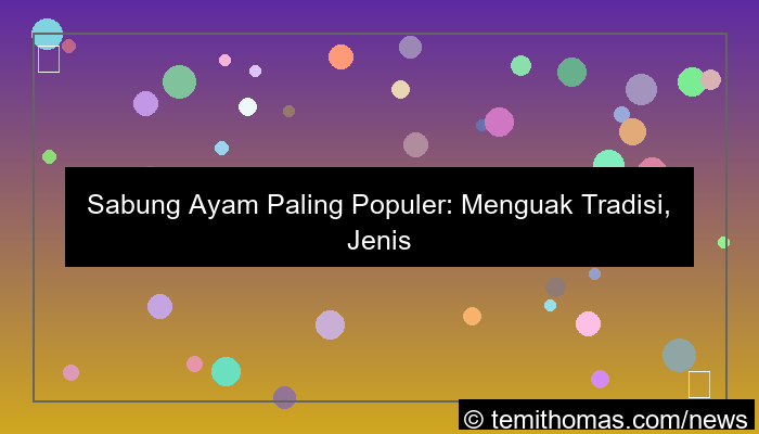 sabung ayam paling populer