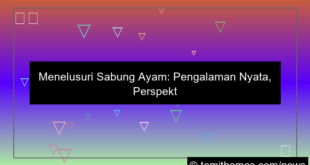 sabung ayam pengalaman real