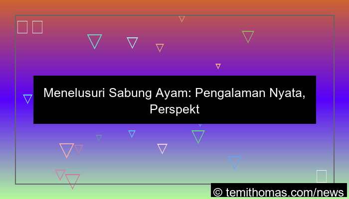 sabung ayam pengalaman real