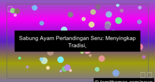 sabung ayam pertandingan seru