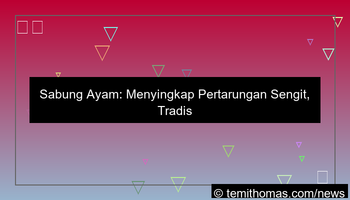 desain sabung ayam pertarungan sengit