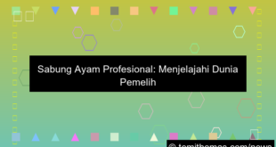 gambar sabung ayam profesional
