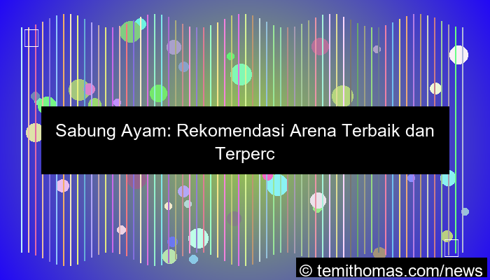 sabung ayam rekomendasi arena