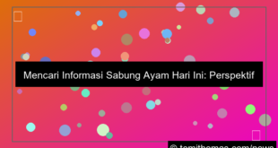 sabung ayam rekomendasi hari ini