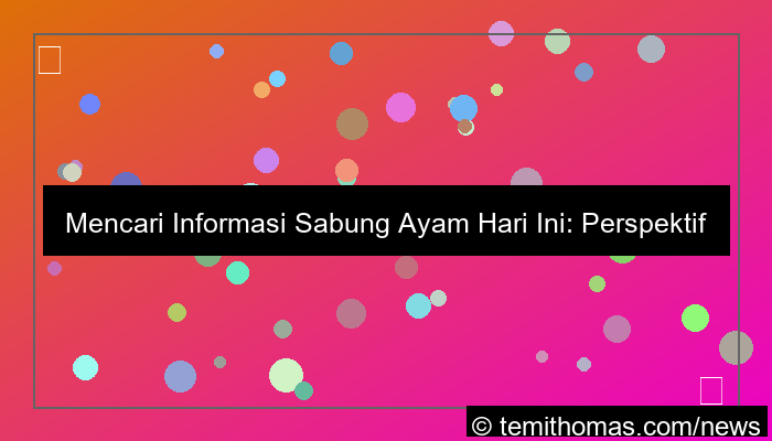 sabung ayam rekomendasi hari ini