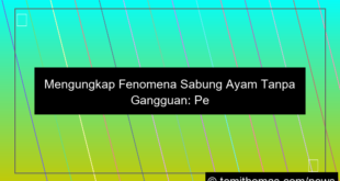 sabung ayam tanpa gangguan