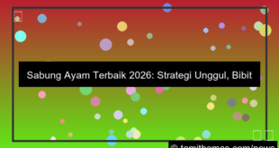 sabung ayam terbaik 2026