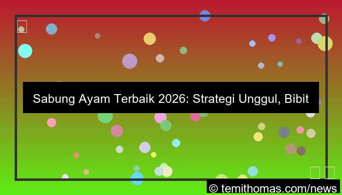 sabung ayam terbaik 2026