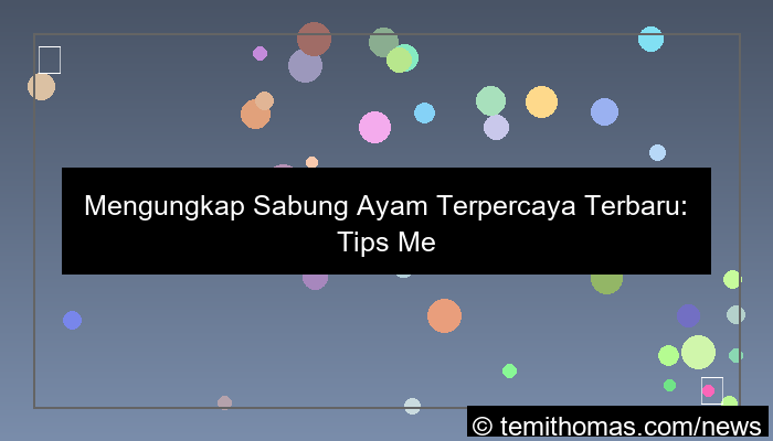 gambar sabung ayam terpercaya terbaru