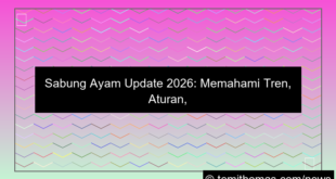 sabung ayam update 2026