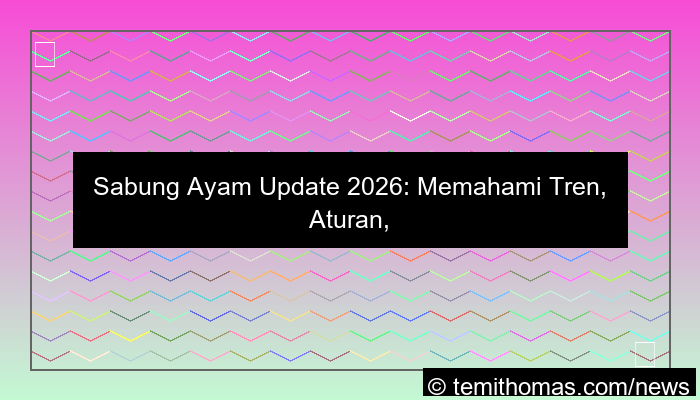 sabung ayam update 2026
