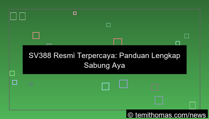 grafik sv388 resmi terpercaya