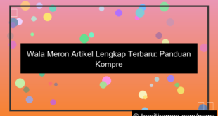 visual wala meron artikel lengkap terbaru